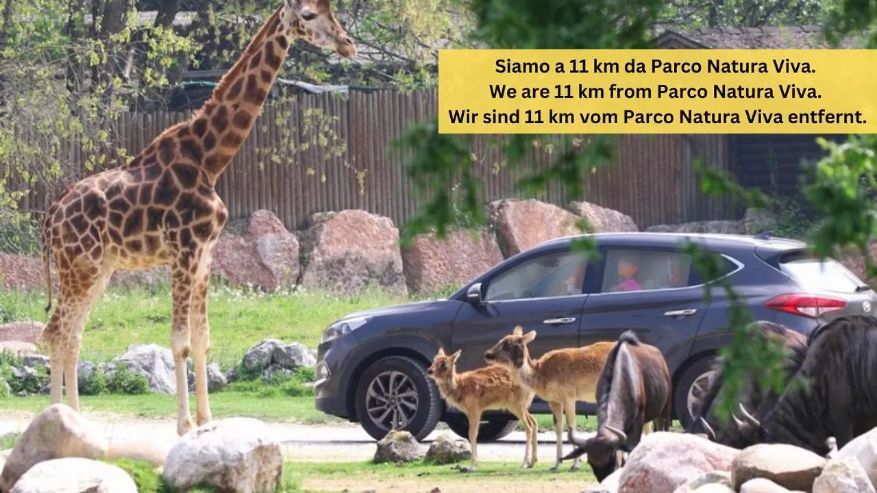 בית נופש קולה Villa Paola Relax